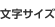 文字サイズ